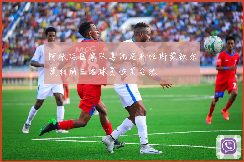 阿根廷国家队喜讯尼科帕斯蒙铁尔莫利纳三名球员恢复合练