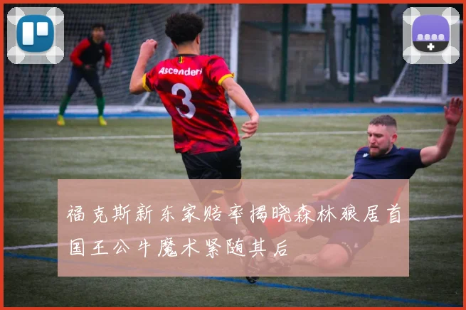 福克斯新东家赔率揭晓森林狼居首国王公牛魔术紧随其后